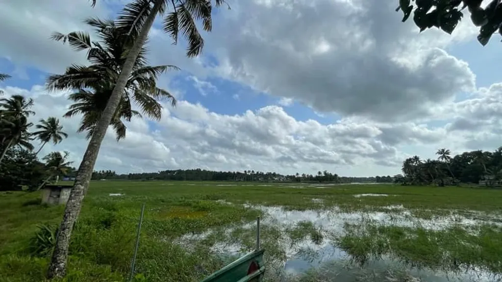 തിരുവനന്തപുരത്ത് ദേശീയപാത 66നു സമീപത്തായി കരിക്കകത്താണ് കെ-റെയിലിന്റെ ആരംഭം. അവിടെ നിന്ന് പാർവ്വതി പുത്തനാറിനു സമീപത്തുകൂടി ജനവാസ കേന്ദ്രങ്ങളും കൃഷിഭൂമിയും കടന്നാണ് റെയിൽപ്പാത നീങ്ങുന്നത്. / Photos: Jino Sam