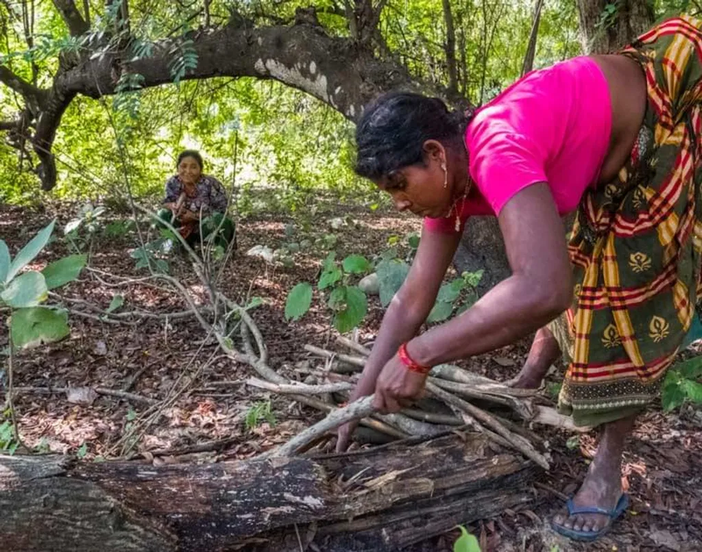  പ്രായോഗികമായി പ്രദേശവാസികളെ ഉൾക്കൊള്ളിച്ചും തലമുറകളിലൂടെ കൈമാറ്റം ചെയ്തുവരുന്ന മൂല്യബോധത്തിൽ അധിഷ്​ഠിതവുമായ പ്രകൃതിസംരക്ഷണമാണ് ഭൂമിയെ ആശ്രയിച്ച് ഉപജീവനം നടത്തുന്ന ജനത ആഗ്രഹിക്കുന്നത്. / Photo: Flickr