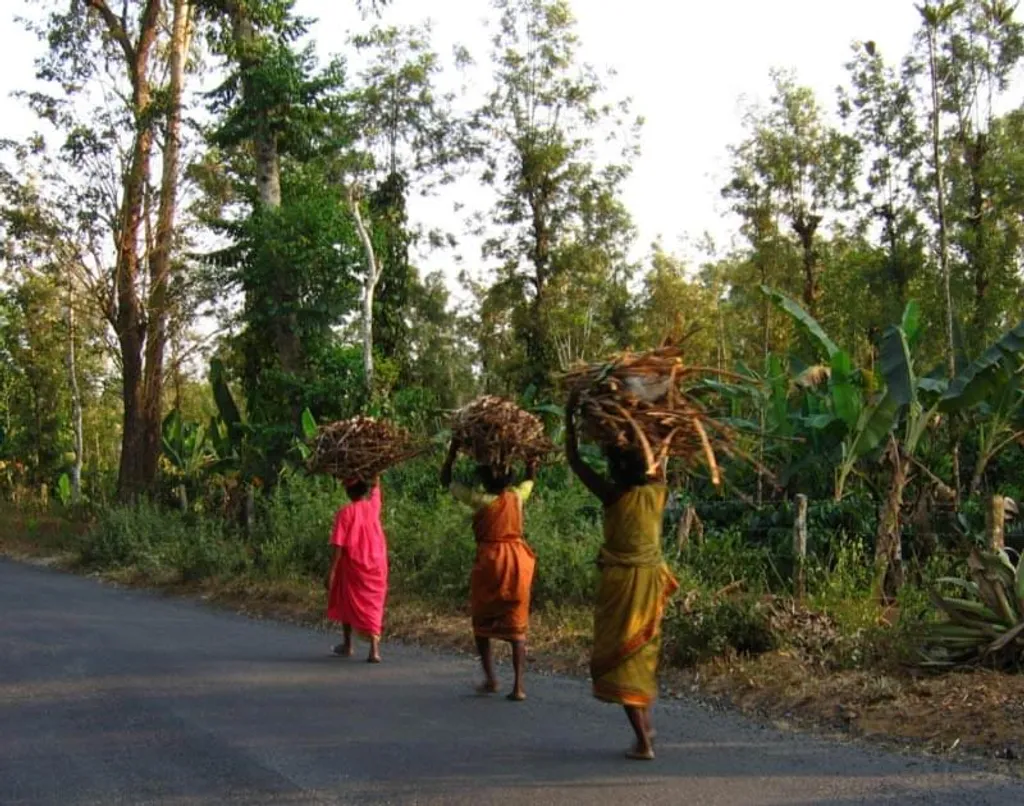 വനനശീകരണത്തിനിടയാക്കുമെന്നും വനത്തെ ആശ്രയിച്ചു ജീവിക്കുന്ന ഗോത്രവർഗക്കാരുൾപ്പെടെയുള്ള പരമ്പരാഗത വനാശ്രിത സമൂഹങ്ങളുടെ പുറന്തള്ളലിനിടയാക്കുമെന്നുമുള്ള വസ്തുതയുടെ അടിസ്ഥാനത്തിലാണ് 2006-ൽ വനാവകാശനിയമം നിലവിൽ വരുന്നത്. / Photo: Wikimedia Commons