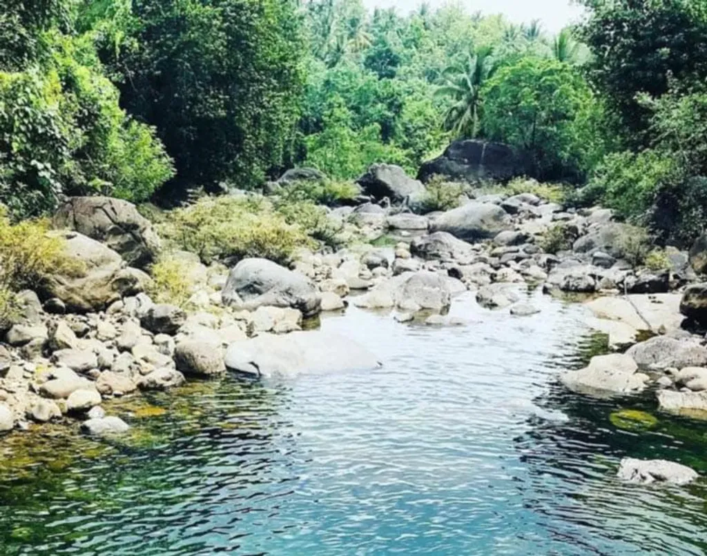 ഉരുളൻ കല്ലുകൾക്കിടയിൽ നിന്നും ഒരു പുഴ കാടുകയറാതെയുമിരിക്കുന്നില്ല, ജാനകിക്കാട്ടിൽ നിന്ന്​ ഒരു കാറ്റ് സമതലങ്ങളെ തേടിയലഞ്ഞ് എത്താത്ത ഇടങ്ങളില്ല. / Photo: Facebook