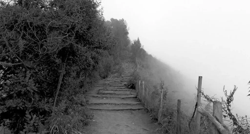 Photo: Munnar Tourism 