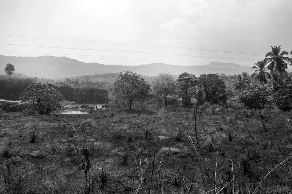 അരിമ്പ്ര മലയിൽ മയിലാടൻ കുന്നിനടുത്ത് തീ പിടിച്ച നിലയിൽ / Photo: Biju Ibrahim