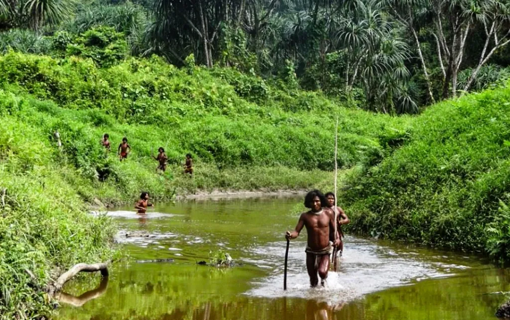 രമ്പരാഗതമായി നായാട്ട് ഉപജീവനമാർഗമായിരുന്നു. അതിന് പരിമിതി വന്നതോടെ അവരുടെ ഭക്ഷ്യസുരക്ഷാ പ്രതിസന്ധിയും വർധിച്ചു. സർക്കാർ ക്ഷേമപ്രവർത്തനങ്ങൾ നടപ്പാക്കുന്നുണ്ടെങ്കിലും അതൊന്നും വിജയം കണ്ടിട്ടില്ല. / Photo: Anthropological Survey of India 