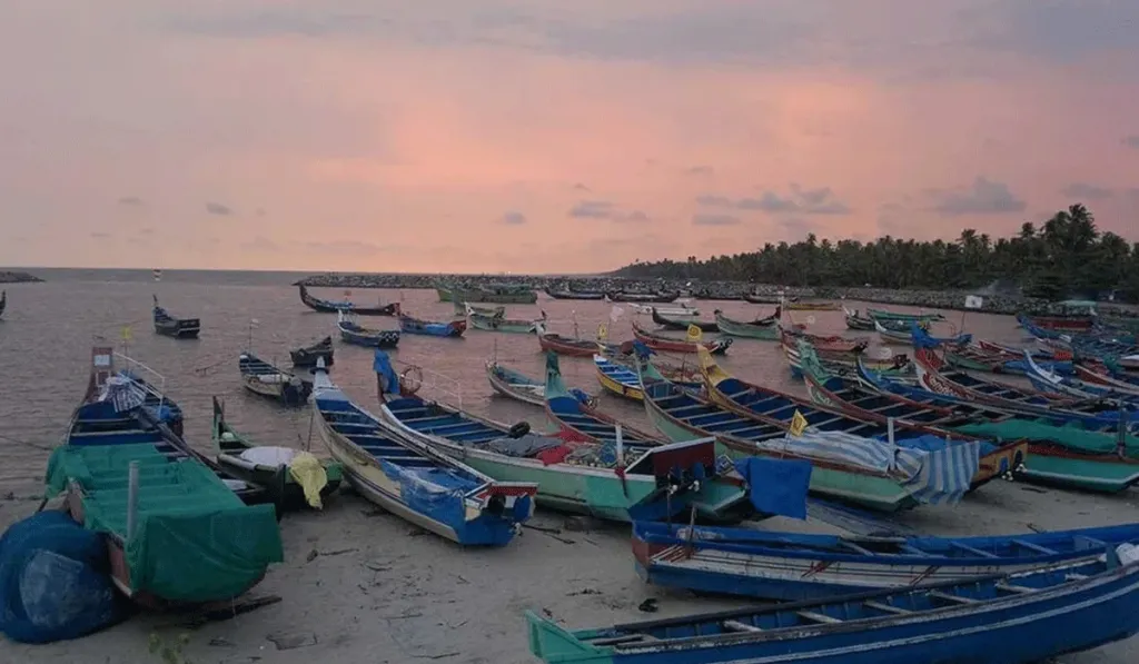 പരമ്പരാഗത മത്സ്യത്തൊഴിലാളികളുടെ ഉപജീവനത്തിനുമേലുള്ള പദ്ധതിയുടെ സ്വാധീനം സോഷ്യൽ ഇംപാക്റ്റ് അസസ്മെന്റ് വേണ്ടത്ര അഭിസംബോധന ചെയ്തിട്ടില്ല.