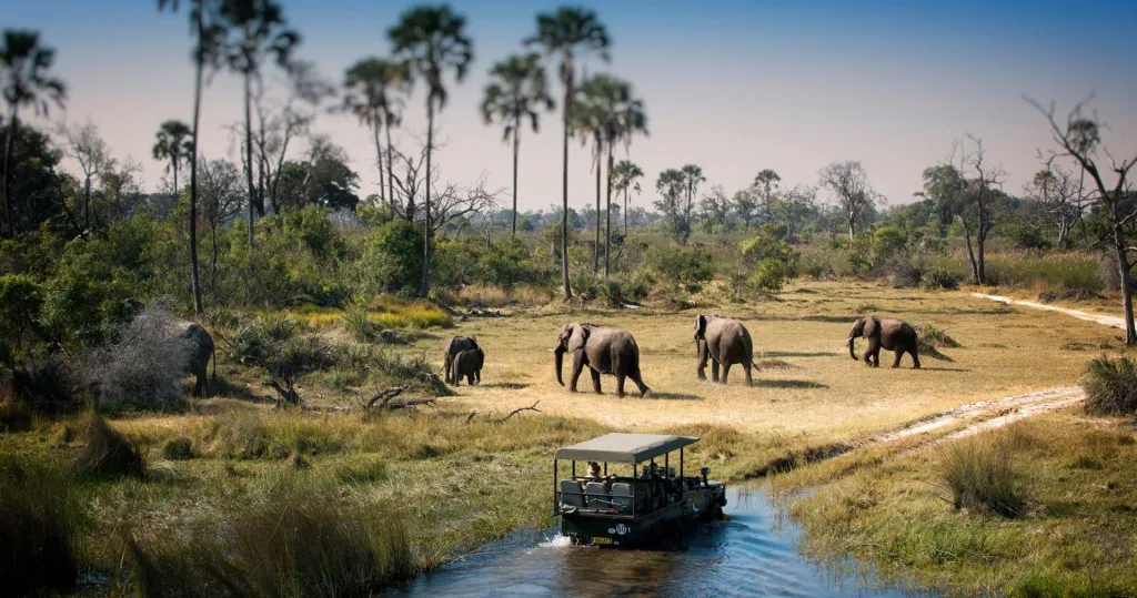 ചോംബെ നാഷനൽ പാർക്ക് / Photo: chobe.com