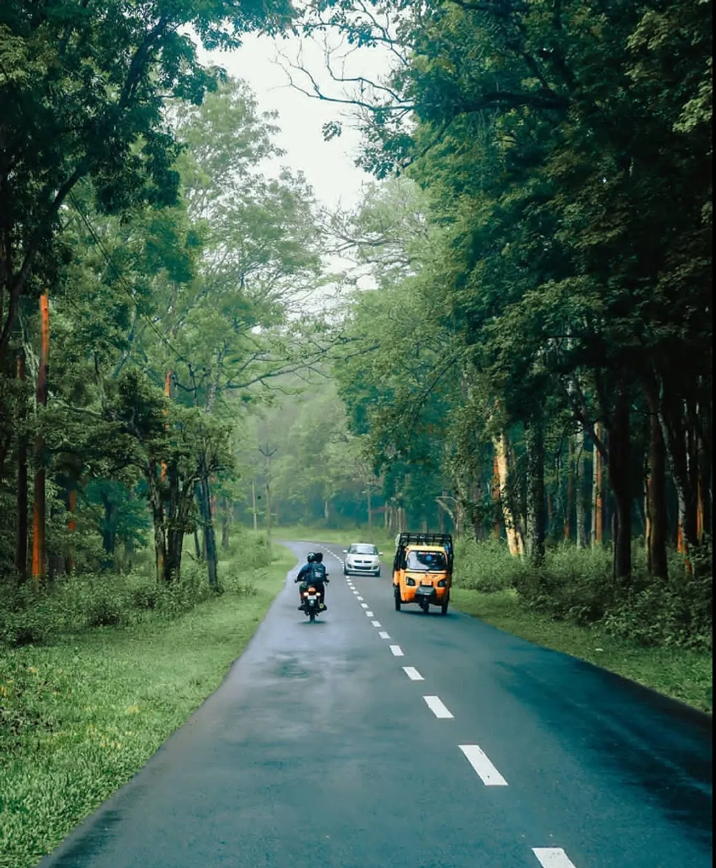 കഴിഞ്ഞ ഇരുപത്തഞ്ച് വർഷങ്ങൾക്കിടെ തെക്ക് പടിഞ്ഞാറൻ മൺസൂണിൽ ആവശ്യത്തിന് മഴ ലഭിച്ച ഏക വർഷം ഇതാണെന്ന് കൽ‌പ്പറ്റ കൈനാട്ടിയിലെ കാപ്പി കർഷകനായ രത്നാകരേട്ടൻ ഉറപ്പിച്ച് പറയുന്നു.  Photo: Vishnu Shivam