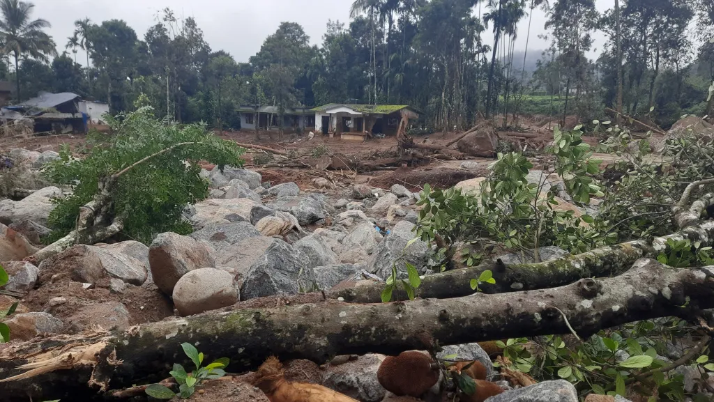 വയനാട് ജില്ലയിൽ സംഭവിച്ചിട്ടുള്ള ഉരുൾപൊട്ടലുകളിൽ കൂടിയ ഭാഗവും ഏകദേശം എൺപത് ശതമാനത്തിലധികം ഉരുൾപൊട്ടലും നടന്നിരിക്കുന്നത് debris flow/ debris shallow slide തുടങ്ങിയ വിഭാഗത്തിൽ പെട്ടിട്ടുള്ള ഉരുൾപൊട്ടലുകളാണെന്നാണ്.