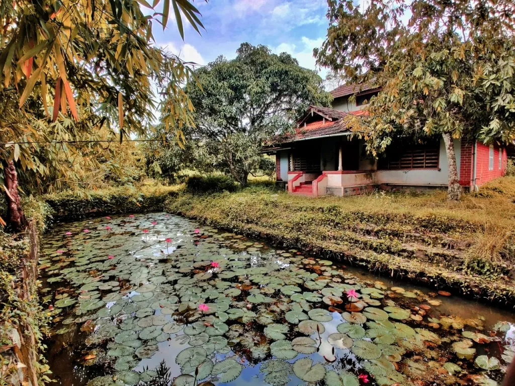 സൈദ്ധാന്തിക ജാഡകളുടെ ആലഭാരങ്ങളില്ലാതെ, ആദിവാസി ജീവിതത്തോടു ചേർന്നു നിൽക്കുന്ന സമഗ്രമായ ഒരു വിദ്യാഭ്യാസപദ്ധതി അവതരിപ്പിച്ചുവെന്നതാണ് ‘കനവി’ന്റെ വിജയം. / Photo: travellersuniversity.org