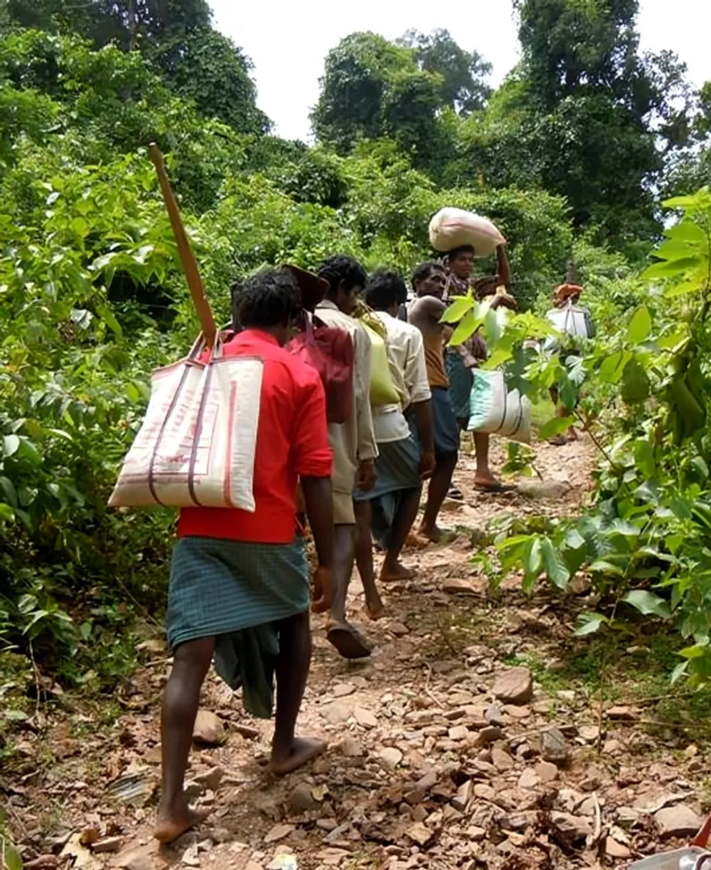 ഇന്നും തുടരുന്ന ആദിവാസി ജനതയുടെ 'പൈക്കിൻ്റോ' എന്ന വിലാപം കേരളമൊട്ടാകെ ‘നാടുഗദ്ദിക’ ഒരാഘാതം പോലെ എത്തിച്ചു.