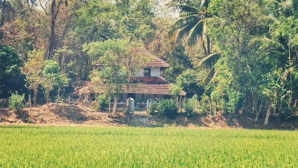 ഞങ്ങളെ സംബന്ധിച്ച് ലോകം ചെറുതായിരുന്നു. മണ്ണിന്റെ ഗന്ധം നിറഞ്ഞ, കാടിന്റെ രുചി നിറഞ്ഞ വെള്ളത്തിന്റെ നനുനനപ്പാർന്ന ജീവിതം./photo: Facebook @__whisperingshadows.