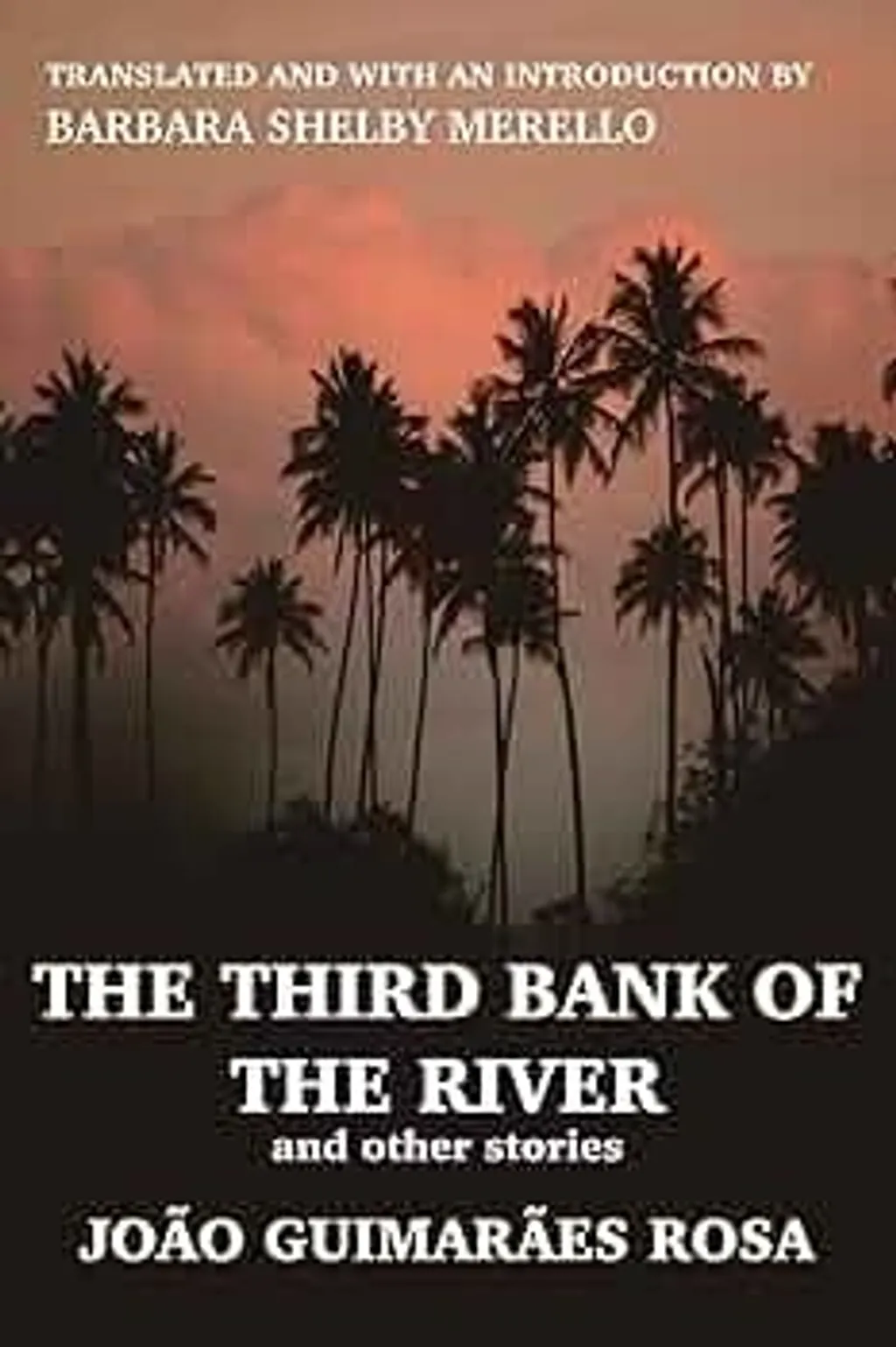 The Third Bank of the River പുസ്തകത്തിൻ്റെ കവർ