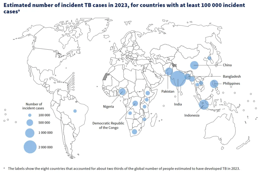 2023-ൽ വിവിധ രാജ്യങ്ങളിലുള്ള ക്ഷയരോഗബാധിതരുടെ എണ്ണം കാണിക്കുന്ന ഭൂപടം (ഒരു ലക്ഷം എന്ന അടിസ്ഥാന അനുപാതക്കണക്കിലുള്ളത്). ആഗോളതലത്തിലുള്ള രോഗികളുടെ മൂന്നിൽ രണ്ടു ഭാഗവും എട്ട് രാജ്യങ്ങളിലാണുള്ളതെന്ന് ഈ ഭൂപടം കാണിക്കുന്നു. അവലംബം: Global Tuberculosis Report - 2024