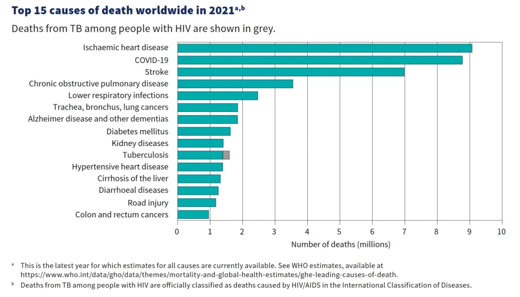 ലോകത്ത് ഏറ്റവും കൂടുതൽ മരണകാരണമായ രോഗങ്ങളുടെ 2021-ലെ പട്ടിക. 2023-ൽ പകർച്ചവ്യാധികളിൽ ക്ഷയരോഗം കോവിഡിനെയും കടന്ന് മുന്നിലെത്തി. അവലംബം: Global Tuberculosis Report - 2024.