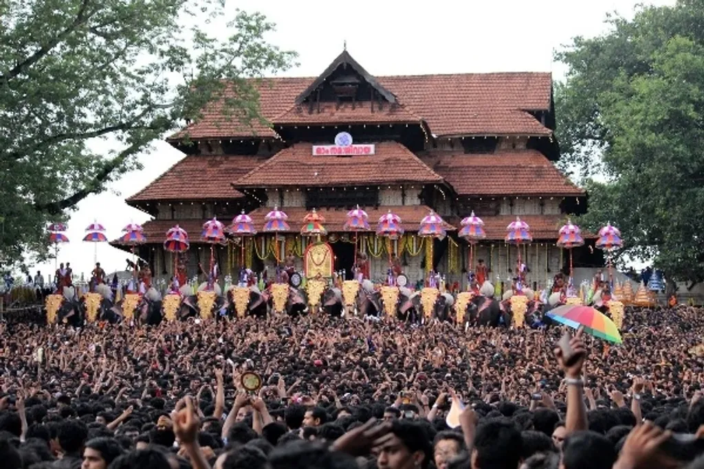 തൃശൂർ പൂരം അടക്കമുള്ള ഉത്സവാഘോഷങ്ങളിൽ എഴുന്നള്ളിപ്പിന്റെ പേരിൽ നടക്കുന്ന കൊടും ആന പീഡനങ്ങളുടെ വീഡിയോ ദൃശ്യങ്ങൾ അടക്കമുള്ള രേഖകൾ പരിശോധിച്ചാണ് ഹൈക്കോടതി, ആന എഴുന്നള്ളിപ്പിന് കർശന നിയന്ത്രണം കൊണ്ടുവന്നത്. /photo: Dijumon Komanthakkal