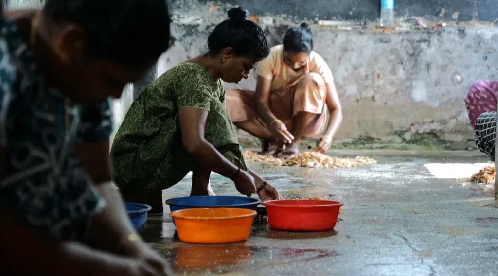കൂടുതൽ കടൽ ചെമ്മീനിനെ പിടിക്കുന്ന കേരളത്തിലെ മത്സ്യബന്ധന മേഖലയ്ക്ക് ഇത് കനത്ത പ്രഹരമാവും.
