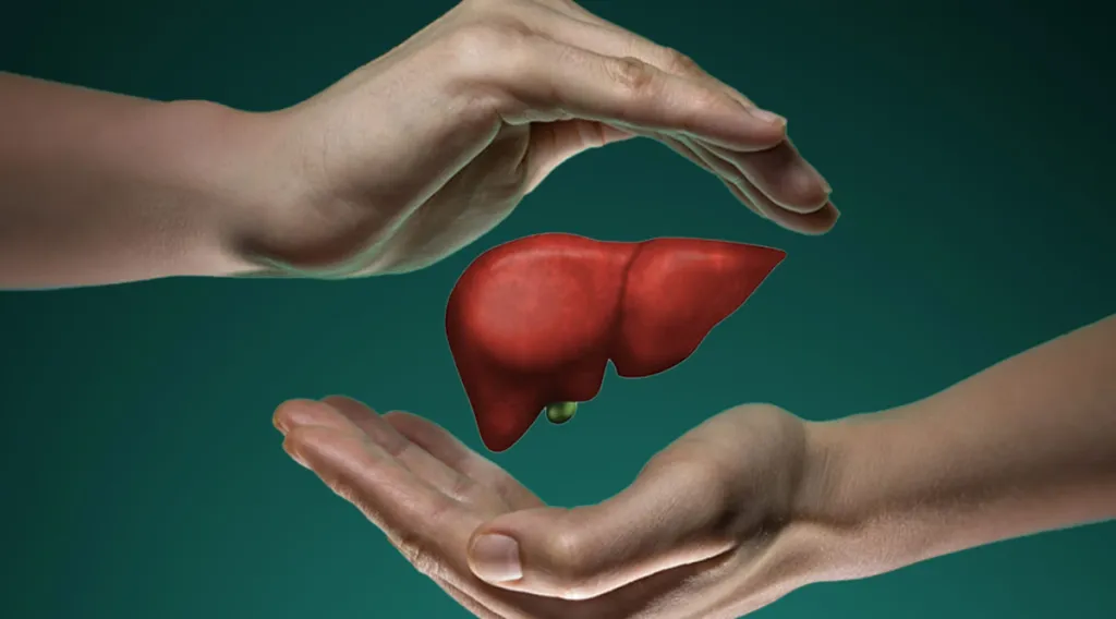 ശരീരത്തിന്റെ പ്രധാന മെറ്റബോളിക് എഞ്ചിനായ കരൾ രക്തത്തിലെ പഞ്ചസാര നിയന്ത്രിക്കുന്നതിൽനിന്ന് തുടങ്ങി, വിഷവസ്തുക്കൾ നിഷ്ക്രിയമാക്കുകയും പോഷകങ്ങൾ ഉപയോഗ്യമാക്കുകയും ദഹനത്തെ സഹായിക്കുകയും ചെയ്യുന്ന അനേകം നിർണായക പ്രവർത്തനങ്ങൾ ദിവസേന നിർവഹിക്കുന്നു.