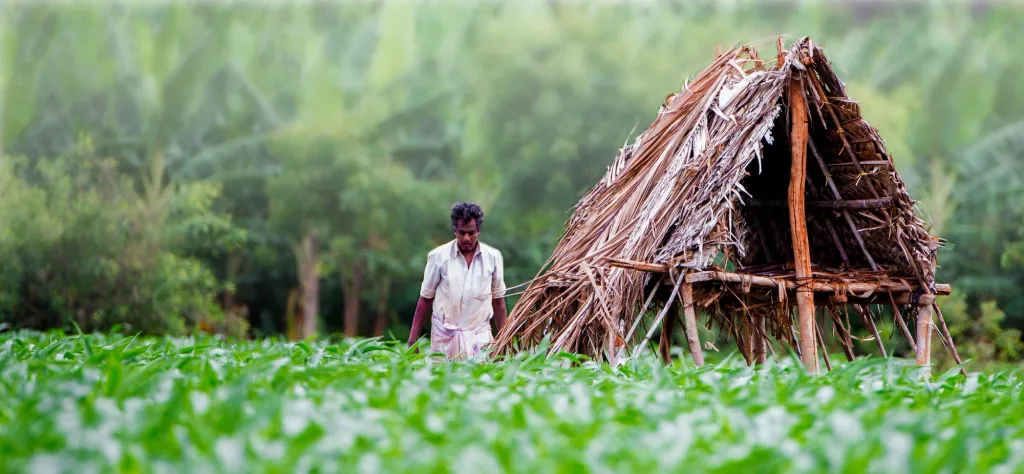 നെൽകർഷകർക്ക് ഏറ്റവും ഉയർന്ന വരുമാനം കേരളത്തിലാണ് ലഭിക്കുന്നത്.