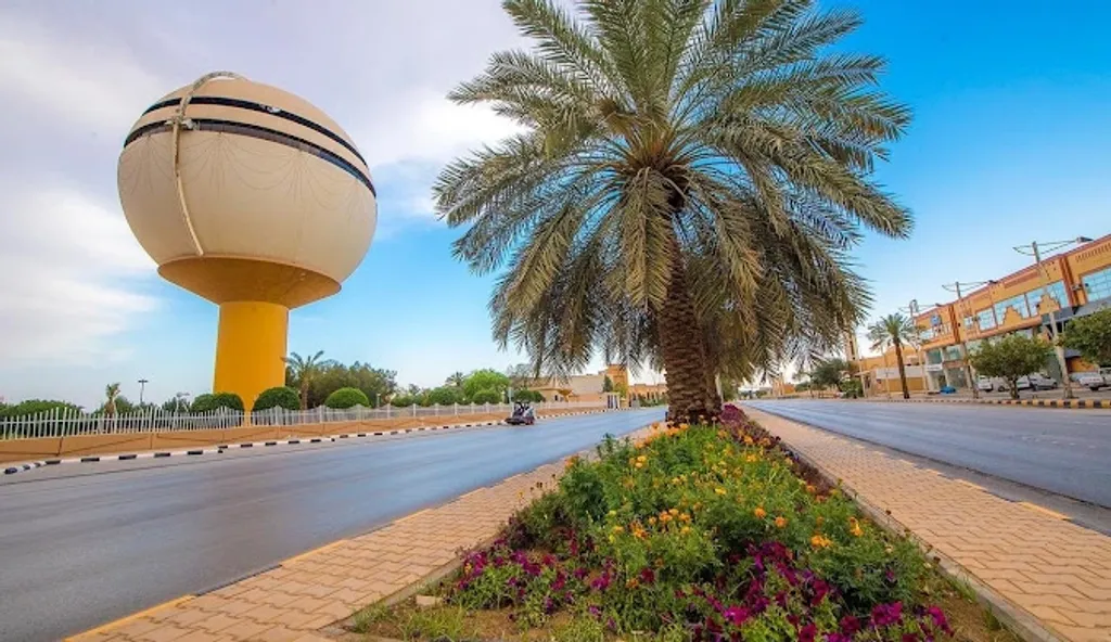 അമേരിക്കയിൽ നിന്ന് സൗദിയിലേക്ക് മടങ്ങിയ സംരംഭകയായ ലതീഫ അൽതമിമി "വിഷൻ 2030" ആണ് തൻ്റെ തിരിച്ചുവരവിന് പ്രചോദനമായതെന്ന് പറയുന്നു. 