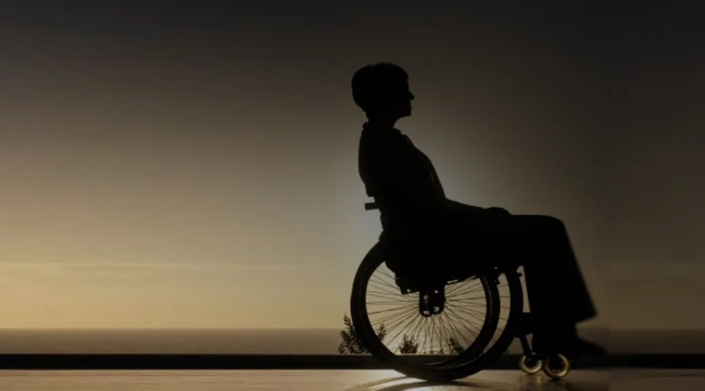 ഭിന്നശേഷി മനുഷ്യരുടെ അവകാശങ്ങളും അന്തസ്സാർന്ന ജീവിതവും ഉറപ്പാക്കുക എന്ന ലക്ഷ്യത്തോടെയാണ് 1992 മുതൽ ഐക്യരാഷ്ട്ര സഭ ഡിസംബർ മൂന്ന് ലോക ഭിന്നശേഷി ദിനമായി ആചരിക്കുന്നത്. 