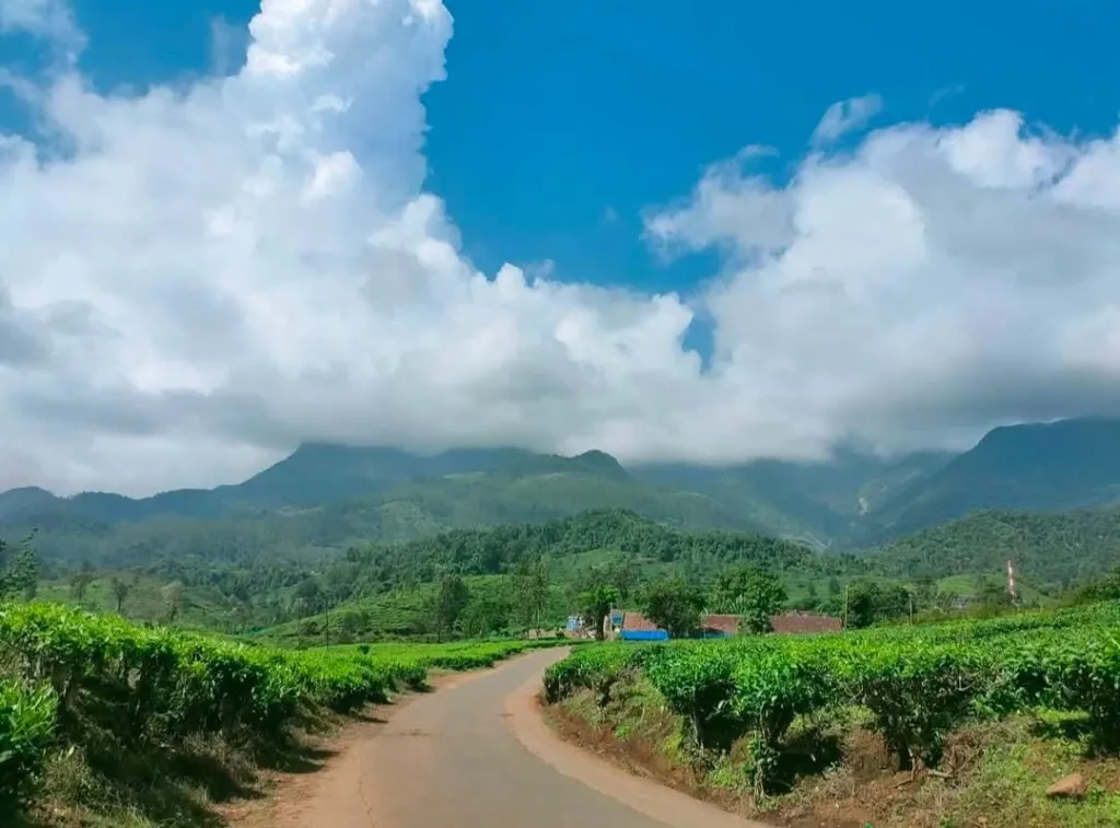 ഇടയ്ക്കിടെ ചെറു കുന്നുകൾ, ചെറു കാടുകൾ, എങ്ങും ഓടിയോടിപ്പോകാൻ തോന്നും വിധം മാടിമാടി വിളിക്കുന്ന വശ്യഭംഗി. ആസ്വാദകരെ അമൂർത്തതയിലെത്തിക്കുന്നതാണ് മുണ്ടക്കൈയുടെ ഭംഗി. 
