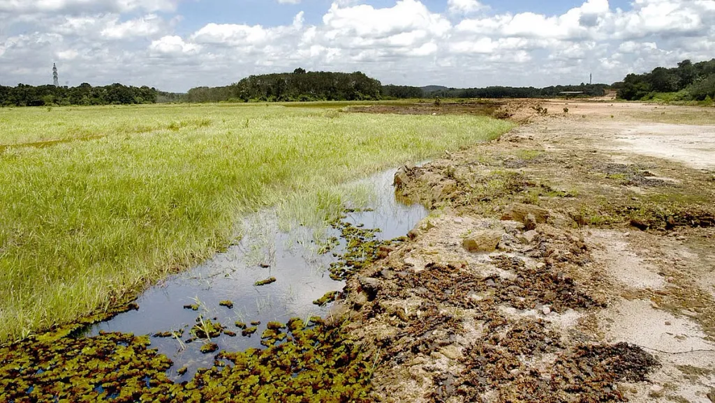 ആറന്മുളയിലെ വിമാനത്താവളത്തിന് അനുമതി നിഷേധിച്ച അതേ ഭൂമിയിൽ ഇലക്ട്രോണിക് ക്ലസ്റ്റർ പദ്ധതിയുമായി കെ.ജി.എസ് ഗ്രൂപ് പുതിയ പേരിൽ വീണ്ടും രംഗത്ത് വന്നിരിക്കുകയാണ്.