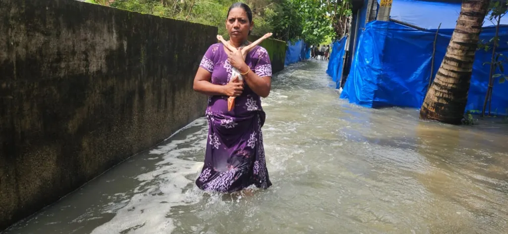 ചെല്ലാനം ചെറിയകടവിൽ നിന്നും
