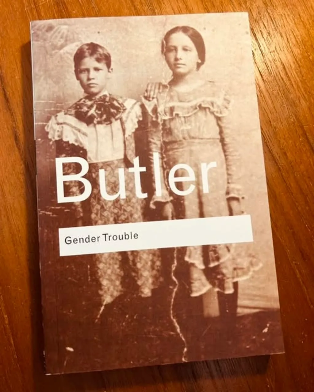 1990- ൽ പുറത്തെത്തിയ Gender Trouble: Feminism and the Subversion of Identity എന്ന കൃതിയിലൂടെയാണ് ലിംഗഭേദങ്ങളുടെ അപ്രകൃതീകരണമായി നിർവചിക്കാവുന്ന 'നാട്യപരത' എന്ന താക്കോൽവാക്കിനെ ബട്‌ലർ അവതരിപ്പിക്കുന്നത്. 