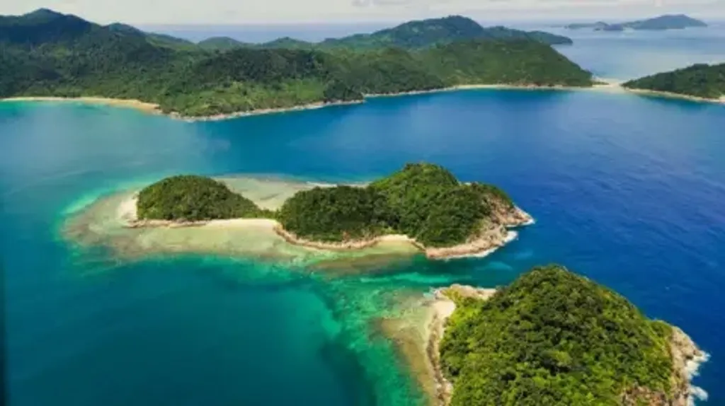 ഗ്രേറ്റ് നിക്കോബാർ ദ്വീപിന്റെ തീരപ്രദേശം കണ്ടൽക്കാടുകളാൽ ചുറ്റപ്പെട്ടിരിക്കുന്നു. ചുഴലിക്കാറ്റ്, സുനാമി തുടങ്ങിയ പ്രകൃതി ദുരന്തങ്ങൾക്കെതിരെ സ്വാഭാവിക കവചമായി നിലകൊള്ളുന്നതാണ് ഈ കണ്ടൽക്കാടുകൾ.