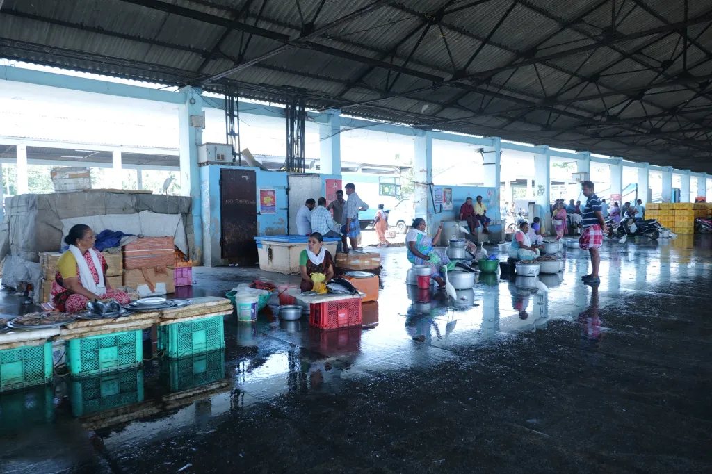 കാൽസ്യവും മാംസ്യവും പ്രോട്ടീനുമടങ്ങി മീൻവിഭവങ്ങൾ ദിനംതോറും കഴിച്ചു കൊണ്ടിരിക്കുന്ന തീരദേശ മനുഷ്യരുടെ സാമ്പത്തിക സ്ഥിതിയെയും ആരോഗ്യത്തെയും ഈ കപ്പലപകടങ്ങൾ ഗുരുതരമായി ബാധിക്കും. / Photo: Muhammed Aslam