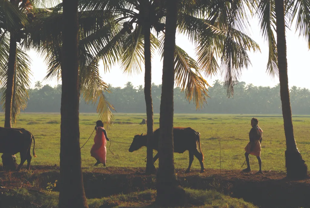 ഗ്രാമീണരായ കുട്ടികളും നിരക്ഷരരായ സ്ത്രീകളുമൊക്കെയാണ് മലയാളത്തിൽ തനി നാടൻ പദങ്ങൾ ഉപയോഗിക്കുന്നതും പുതിയവ കണ്ടുപിടിക്കുന്നതും.