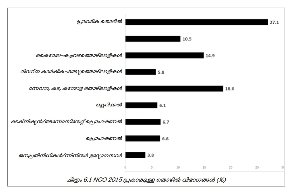 നാഷനൽ ക്ലാസിഫിക്കേഷൻ ഓഫ് ഒക്യുപേഷൻസിന്റെ (NCO 2015) തൊഴിൽ വിഭജനം. പ്രാഥമിക മേഖലയിലാണ് കൂടുതൽ പേർ തൊഴിലെടുക്കുന്നത്. തുടർന്ന് സേവന, കട- കമ്പോള തൊഴിലുകൾ  (കേരള പഠനം 2.0-ൽ നിന്ന്).
