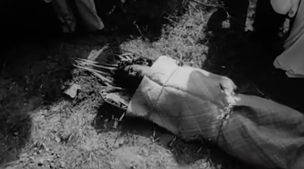 പോലീസ് ആക്രമണത്തിൽ വികൃതമായ വിരലുകൾ പോരാളിയുടെ മരണമായി കണക്കാക്കിയാൽ രാജൻ തിരോധാനത്തിന്റെ തുടർച്ചയായി, ‘അമ്മ അറിയാനി’ലെ ഹരിയുടെ ആത്മഹത്യയെ നിരീക്ഷിക്കാം.