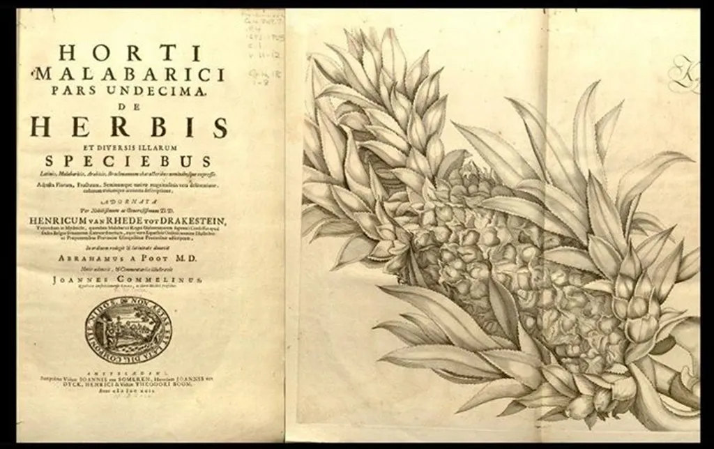 മലയാള അക്ഷരങ്ങൾ ആദ്യമായി അച്ചടിച്ച, ലാറ്റിൻ പുസ്തകമായ, ഇന്ന് ലോകത്ത് രണ്ടോ മൂന്നോ പ്രതികൾ മാത്രം അവശേഷിക്കുന്ന ഹോർത്തൂസ് മലബാറിക്കൂസിന്റെ ഏതാനും ചില പേജുകൾ 1957-ലെ പുസ്തക -ചിത്രപ്രദർശനത്തിലുണ്ടായിരുന്നു എന്നത് ചരിത്രമാണ്. 