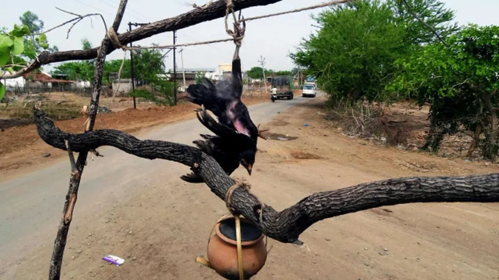 അന്ധവിശ്വാസത്തിന്റെയും അനാചാരത്തിന്റെയും ഇരകളായി ഇന്ത്യയിൽ 3 ദിവസത്തിനിടയിൽ ഒരാൾ എന്ന തോതിൽ മരിച്ചിട്ടുണ്ടെന്ന കണക്കുകൾ പുറത്തുവന്നിട്ടുണ്ട്. ഝാർഖണ്ഡ് ആണ് ഇക്കാര്യത്തിൽ ഏറ്റവും മോശം സംസ്ഥാനം. 