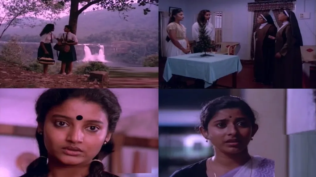 കൗമാരക്കാരായ രു പെൺകുട്ടികൾക്കിടയിൽ വളർന്നുവരുന്ന ആഴത്തിലുള്ള സൗഹൃദവും ഒരുപക്ഷേ  കാഴ്ചക്കാർക്ക് ഊഹിച്ചെടുക്കാൻ പറ്റുന്ന തരത്തിൽ സൗഹൃദത്തിനപ്പുറത്തേക്ക് കടന്നുപോകുന്ന സ്വവർഗ പ്രണയത്തിന്റെ  നിറങ്ങളും ചേർത്താണ് പത്മരാജൻ ദേശാടനക്കിളികളുടെ  തിരക്കഥ തയ്യാറാക്കിയിട്ടുള്ളത്.