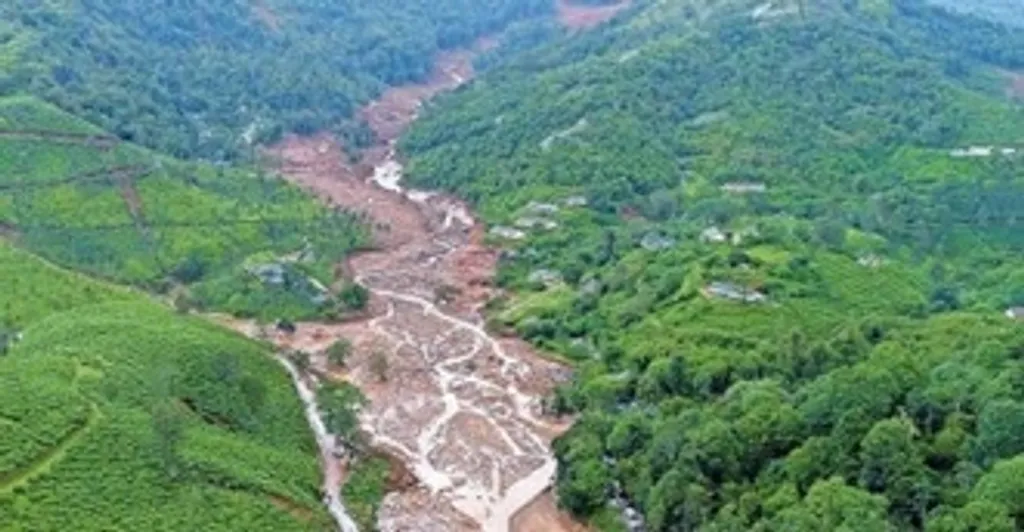 ചിത്രം 3: വനത്തിനുള്ളിലുണ്ടായ ചെറിയ ഉരുൾപൊട്ടലുകളിൽ ഒന്നായിട്ടാണ് പുത്തുമല ഉരുൾപൊട്ടൽ ആരംഭിച്ചത് എന്നും, താഴ്ന്ന ഭാഗങ്ങളിലെ മണ്ണിന്റെ ഘടന ദുർബലവും ജലപൂരിതവുമായതിനാൽ കുന്നിന്റെ താഴ്ന്ന ഭാഗങ്ങളിൽ എത്തിയപ്പോൾ ഉരുൾപൊട്ടലിന് ശക്തി വർദ്ധിച്ചുവെന്നും സൂചിപ്പിക്കുന്നു.