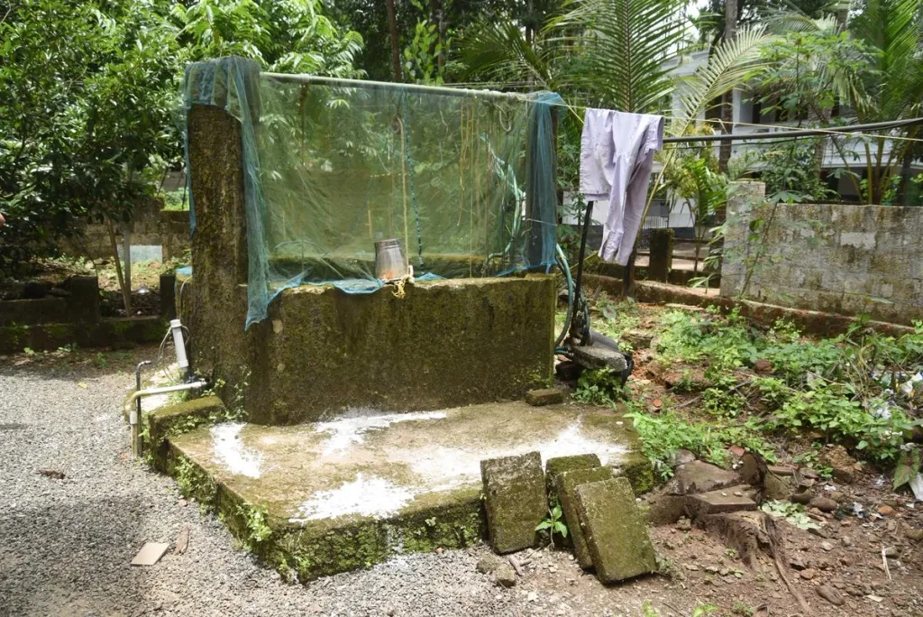 കെട്ടിക്കിടക്കുന്ന പായൽ പിടിച്ച വെള്ളത്തിലും മലിന ജലത്തിലും ഇവയുടെ പെരുപ്പം കൂടുതലാണ്. Eutrophication level കൂടിയ വൃത്തിയാക്കാത്ത കിണറുകളും കുളങ്ങളും അവയുടെ ഇത്തരം ഓർഗാനിക് ഫുഡ് ഫെസ്റ്റുകളാണ്. 