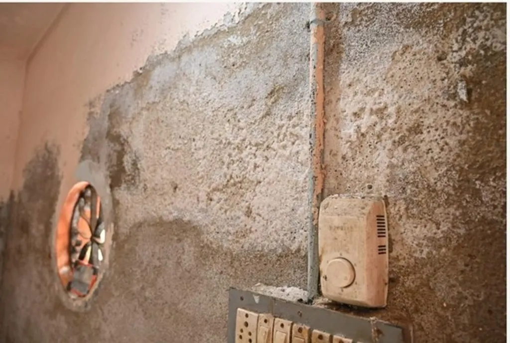 വർഷങ്ങളായി പുത്തൻവേലിക്കര ഭാഗത്ത് വേലിയേറ്റ സമയത്ത് പലപ്പോഴായി കയറുന്ന വെള്ളം മാത്രമല്ല പ്രശ്നം. വീടുകളിലേക്ക് കയറുന്ന വെള്ളം ഇറങ്ങിയാലും കൂടുതൽ വഷളായ സ്ഥിതിയാണ്. പല കാലാവസ്ഥകളിലായി വെള്ളം കയറി അതിറങ്ങുന്നതിനെത്തുടർന്ന് വീടുകൾ കെട്ടിപ്പൊക്കിയ കല്ലുകളും സിമന്റുകളും അടർന്നു വീഴുകയും ഭിത്തിയാകെ ഉപ്പുപുതഞ്ഞ് കിടക്കുകയും ചെയ്യും. Photo Credit / Surya Chittore 