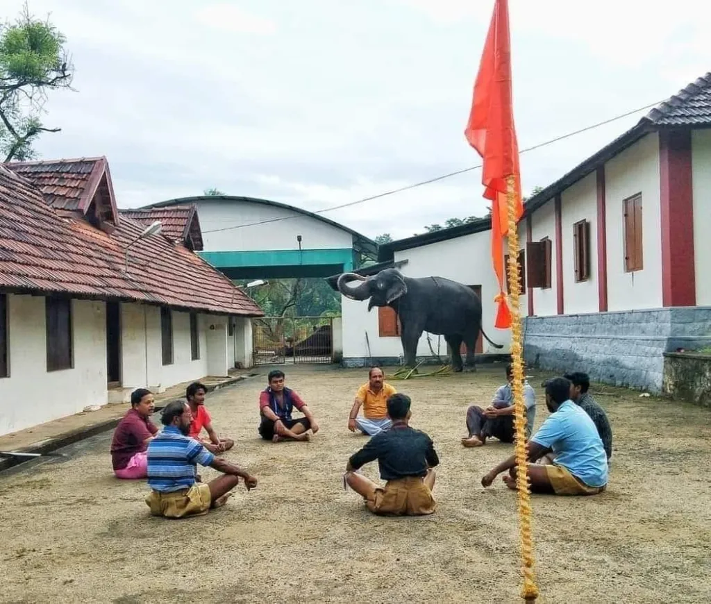 വേണമെങ്കിൽ 24  മണിക്കൂറിനുള്ളിൽ   സ്വന്തം സൈന്യത്തെ ഒരുക്കിനിർത്താൻ സംഘടനയ്‌ക്ക് ശേഷിയുണ്ടെന്നാണ്  സർസംഘചാലക്  മോഹൻ ഭാഗവത് ഊറ്റം കൊണ്ടത്‌.  