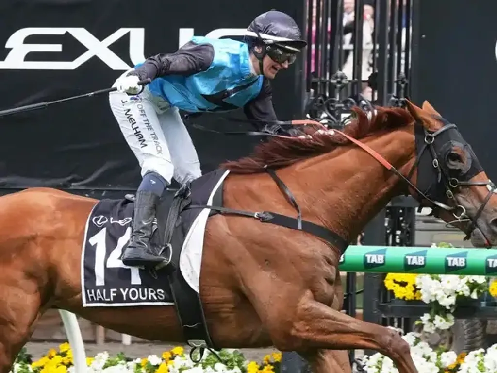 ഒന്നാം സ്ഥാനത്തെത്തുന്ന കുതിരയ്ക്ക് 45 ലക്ഷം ഡോളർ കിട്ടും, 85% ഉടമസ്ഥന്. 10% ട്രെയിനർക്ക്. 5%-വും പ്രശസ്തിയും കുതിരയെ ഓടിച്ച ആൾക്ക്. 24 കുതിരകളുണ്ടാകും. ലാസ്റ്റായാലും ഒരു ലക്ഷം കിട്ടും. പിന്നെ മെൽബൺ കപ്പിൽ സോഷ്യലിസം ഉണ്ട്.