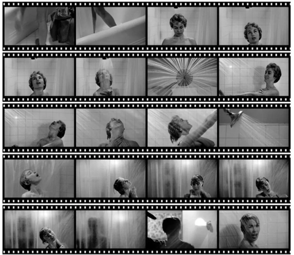 ആൽഫ്രഡ് ഹിച്ച്കോക്കിന്റെ സൈക്കോ എന്ന സിനിമയിലെ ഒരു രംഗം തന്നെ പറഞ്ഞുവെക്കാം. ഹോട്ടൽ മുറിയിലെ ഷവർ രംഗം (shower scene) ഭയത്തിന്റെ ഏറ്റവും ലളിതമായ ഭാഷയാണ്. ഒരു സ്ത്രീ, വെള്ളം, കത്തി, ശബ്ദം, അതിനപ്പുറം ഒന്നുമില്ല. പക്ഷേ ആ രംഗം ഇന്നും സിനിമാചരിത്രത്തിലെ ഭയത്തിന്റെ ഉദാഹരണമായി അടയാളപ്പെടുത്താൻ കഴിയും. 