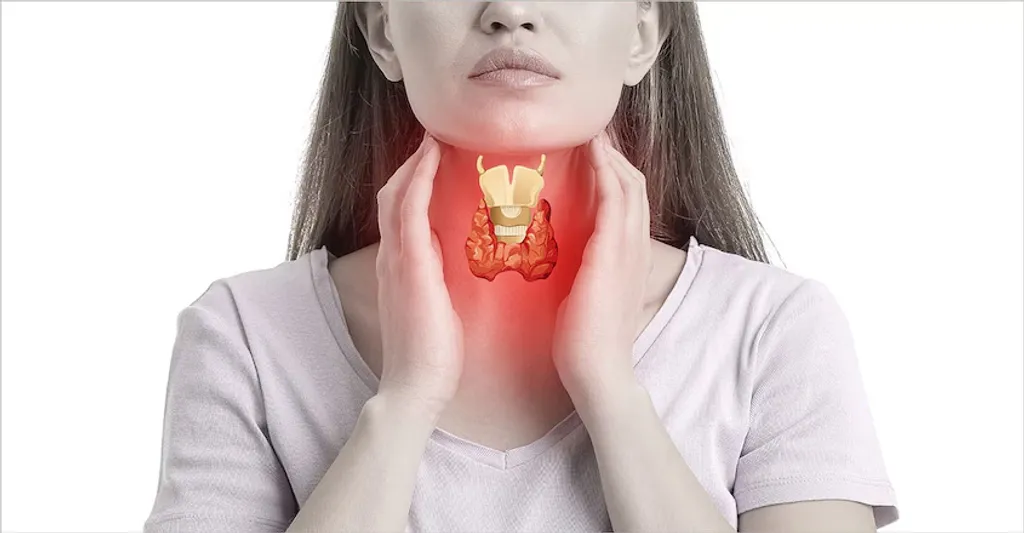 നാളീരഹിത ഗ്രന്ഥികളിൽ ഏറ്റവും പ്രധാനപ്പെട്ടതാണ് തൈറോയ്ഡ് ഗ്രന്ഥി. ഇത് നമ്മുടെ ശരീരത്തിൽ കഴുത്തിന്റെ മുൻഭാഗത്തായി ശ്വസനനാളിക്കും പേശികൾക്കുമിടയിൽ സ്ഥിതിചെയ്യുന്നു. ഈ ഗ്രന്ഥിയുടെ ഏകദേശഭാരം 15 - 25 ഗ്രാം ആണ്. 