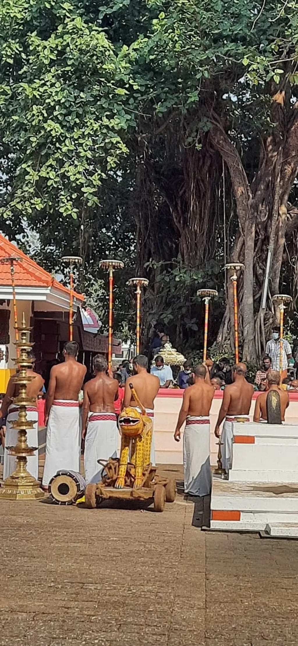 കാവിനെ ക്ഷേത്രമാക്കി മാറ്റുന്നവർ നടത്തുന്ന അനുഷ്ഠാന ലംഘനങ്ങൾ എന്തുകൊണ്ടാണ് ഒരിടത്തും ചോദ്യം ചെയ്യപ്പെടാത്തത്. കാവിലെ അതിവശിഷ്ടമായ വൻമരങ്ങൾ മുറിച്ചു നീക്കുന്നതിനേക്കാൾ എത്രയോ ചെറിയ കുറ്റമാണ് അനുഷ്ഠാന പരിസരത്തിന് പുറത്ത് തെയ്യം അവതരിപ്പിക്കുക എന്നത്.