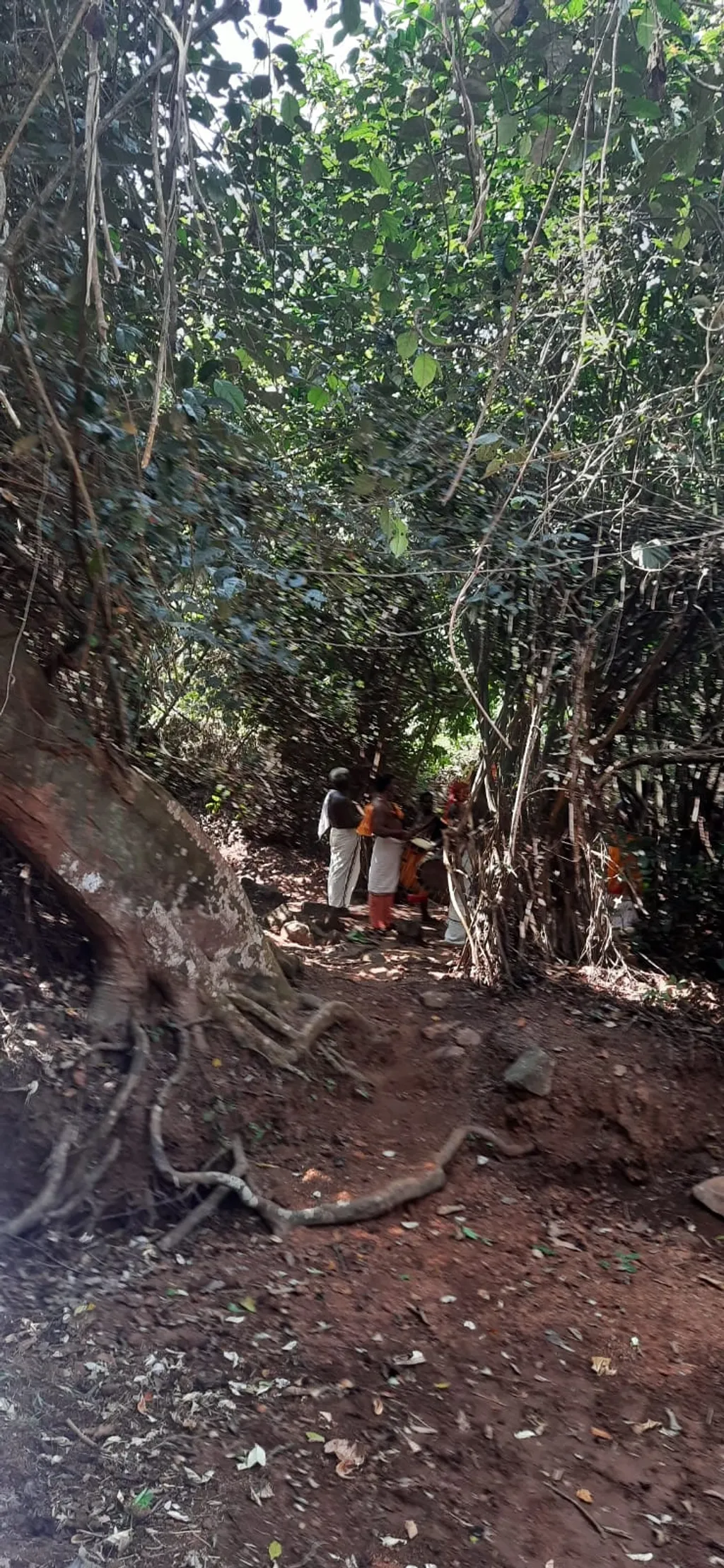 എല്ലാ കാലത്തേക്കും ശക്തമായ പ്രസക്തമായ പ്രതിരോധ പാഠമാണ് തെയ്യം.