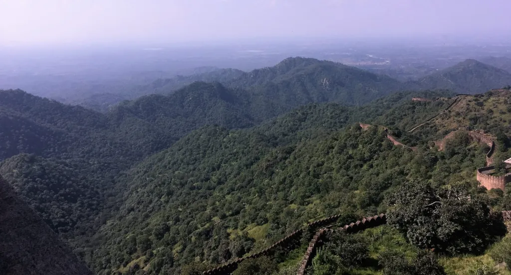 "ഏഷ്യൻ വികസന ഇടനാഴി" എന്ന എഡിബി ബാങ്കിന്റെയും സാമ്രാജ്യത്വ മൂലധനത്തിന്റെയും സ്വപ്നം പൂവണിയിക്കാൻ, കോർപ്പറേറ്റ് ഹിന്ദുത്വയും ഇടതുപക്ഷ കോർപ്പറേറ്റിസവും കൈകോർത്ത ദുരന്തത്തിന്റെ പേരായി മാറിയിരിക്കുന്നു കേരളം. ഹിമാലയൻ മലനിരകൾ എന്നപോലെ, ആരവല്ലി കുന്നുകളും, പശ്ചിമഘട്ട മലനിരകളും ആരാമ്പ്രം മലനിരകളും എല്ലാം ഈ വികസനത്തിന്റെ ഇരകളും മാപ്പുസാക്ഷികളുമാണ്.