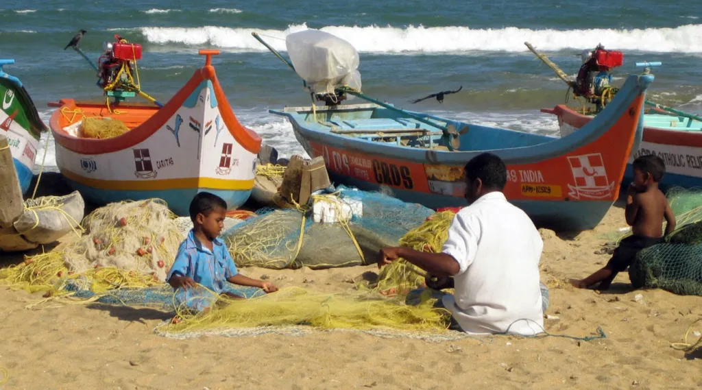 2024 ഓഗസ്റ്റിലെ കണക്കുകൾ പ്രകാരം, കേരളത്തിന്റെ മത്സ്യബന്ധന മേഖലയിലെ ആകെ തൊഴിലാളികളിൽ 58 ശതമാനവും ഇതര സംസ്ഥാനങ്ങളിൽ നിന്നുള്ള കുടിയേറ്റ തൊഴിലാളികളാണ്