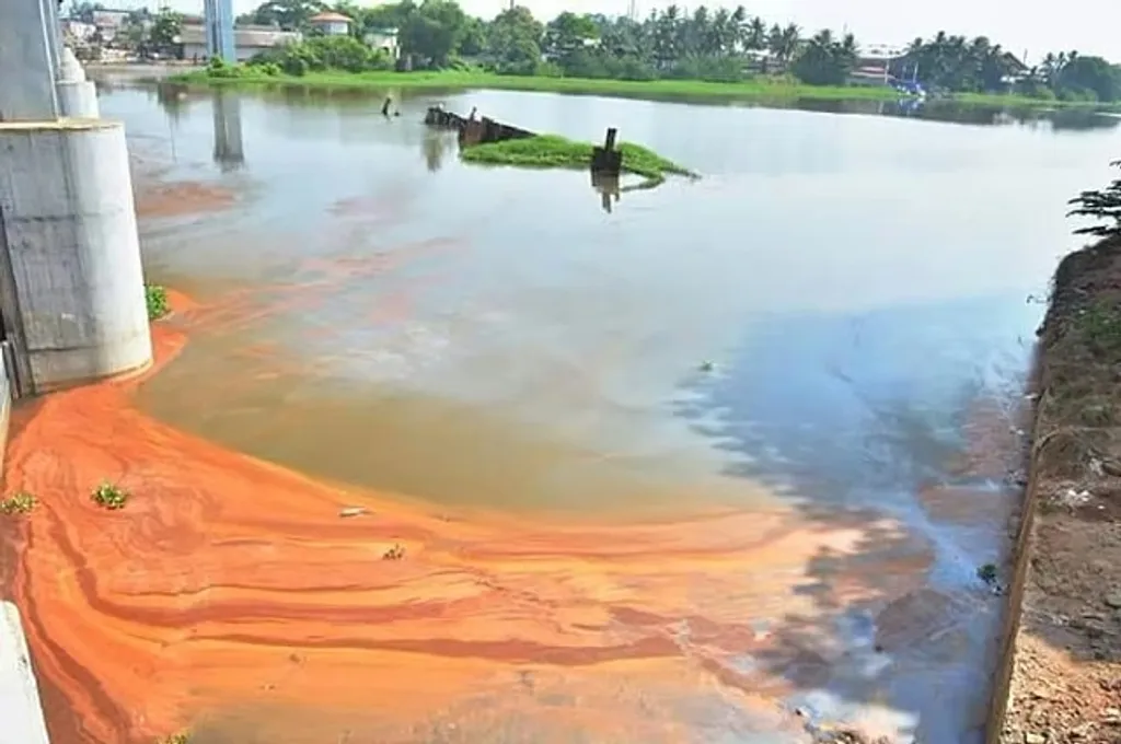 പുഴയുടെ നിറംമാറ്റം പ്രധാനമായും വ്യാവസായിക മലിനീകരണത്തിന്റെ ഉൽപ്പന്നമാണ്. പർവതനിരയുടെ പനിനീരായി ചിത്രീകരിച്ച പെരിയാർ മലിന ജലം ഒഴുകുന്ന പുഴയായി പരിണമിച്ചതിന്റെ പാരിസ്ഥിതിക ചരിത്രവുമാണ് ഇവിടെ അനാവരണം ചെയ്യുന്നത്.