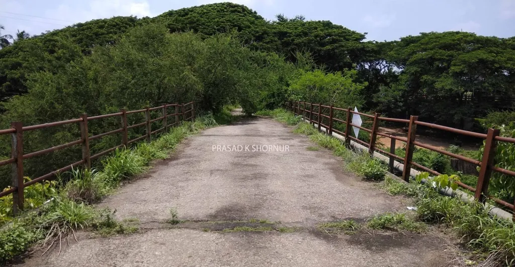 ആണുങ്ങളെ മാത്രം സ്വീകരിക്കുന്ന ഒരു പാലവും കൈവരിയും. എത്രയായി നീ ആൺകഥകൾ മാത്രം കേൾക്കുന്നു പാലമേ...? എനിക്കും ആ കൈവരിയിലിരിക്കണം. എനിക്കും പലതും പറയണം, പക്ഷേ, എന്ന്?