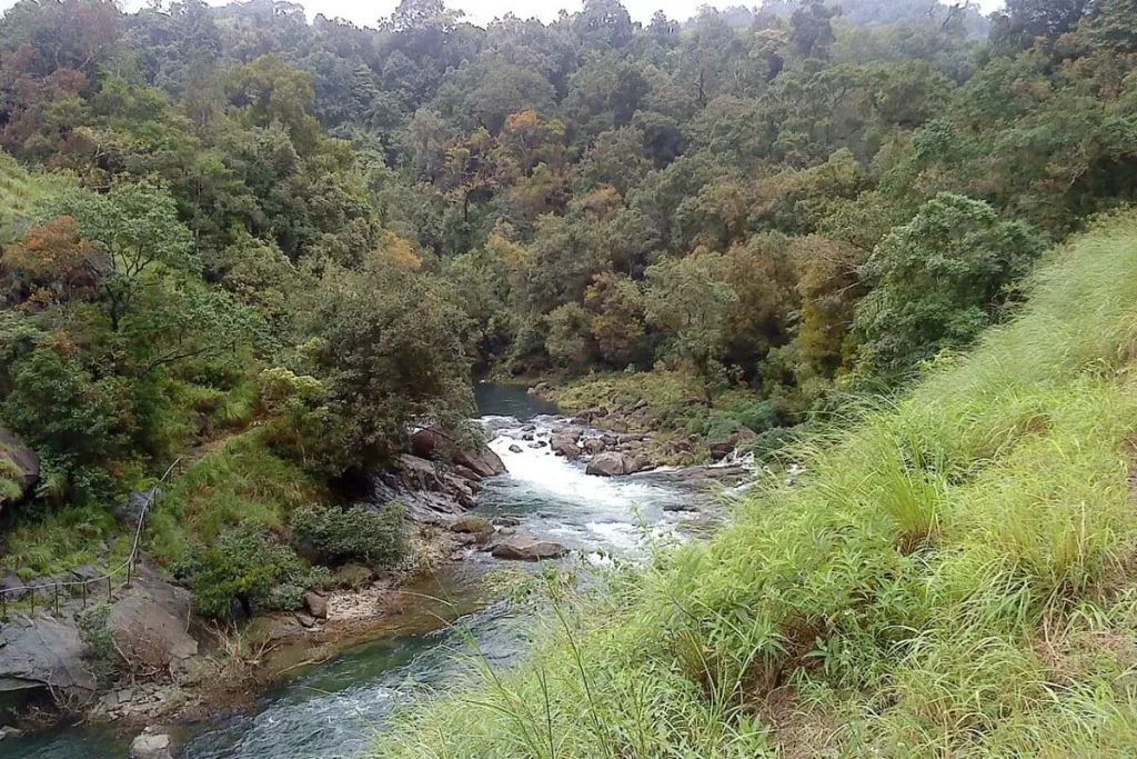 സൈലൻ്റ് വാലി പദ്ധതിയെക്കുറിച്ച് പഠിക്കാൻ 1982- ൽ എം.ജി.കെ. മേനോൻ അധ്യക്ഷനായ സമിതിയിൽ കേന്ദ്ര സർക്കാർ പ്രതിനിധിയായിരുന്നു. അതിൻ്റെ ഭാഗമായി അദ്ദേഹം സൈലൻറ് വാലിയിലും മുല്ലപ്പെരിയാറിലും ഫീൽഡ് പഠനങ്ങൾ നടത്തി. ഈ റിപ്പോർട്ടിൻ്റെ അടിസ്ഥാനത്തിലാണ് സൈലൻ്റ് വാലി പദ്ധതിക്ക് അനുമതി നിഷേധിക്കപ്പെടുന്നത്.