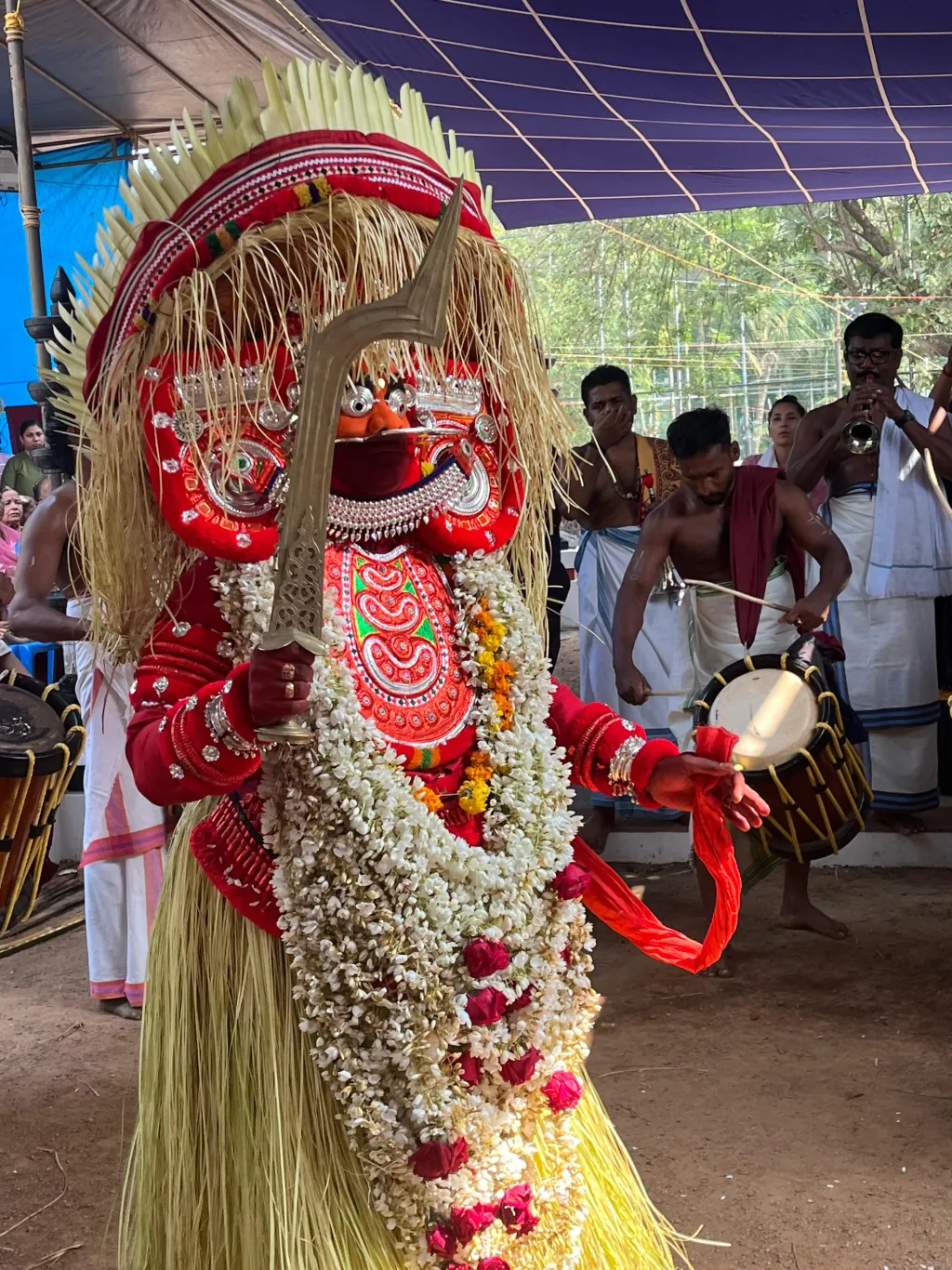 Pic Credit/ Dr. Rajesh Komath